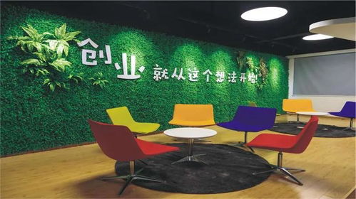 首发 2021年3+证书高考招生计划公布——聚焦电脑网络软件技术开发领域